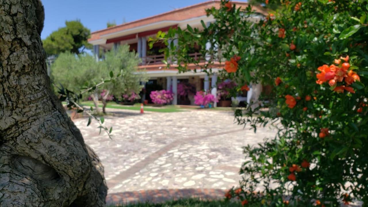 Hotel Brifs Shëngjin Eksteriør billede