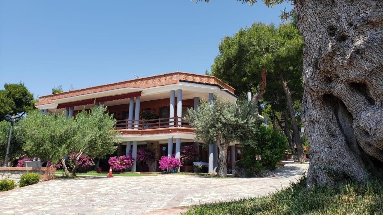 Hotel Brifs Shëngjin Eksteriør billede
