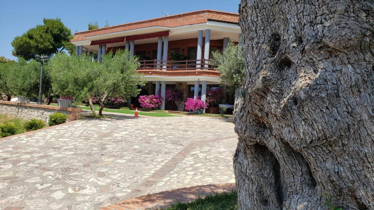Hotel Brifs Shëngjin Eksteriør billede