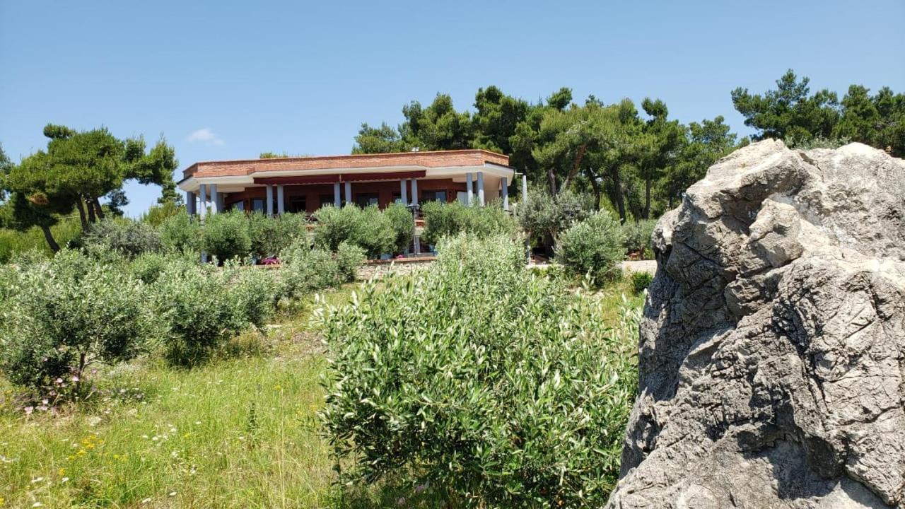 Hotel Brifs Shëngjin Eksteriør billede